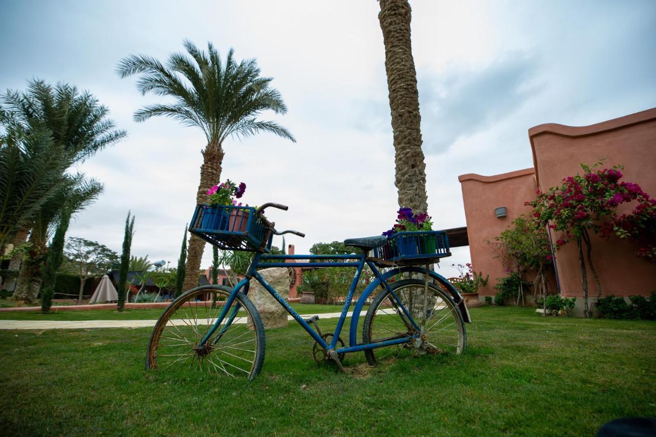 Lazib Inn Resort & Spa Tunis Екстериор снимка